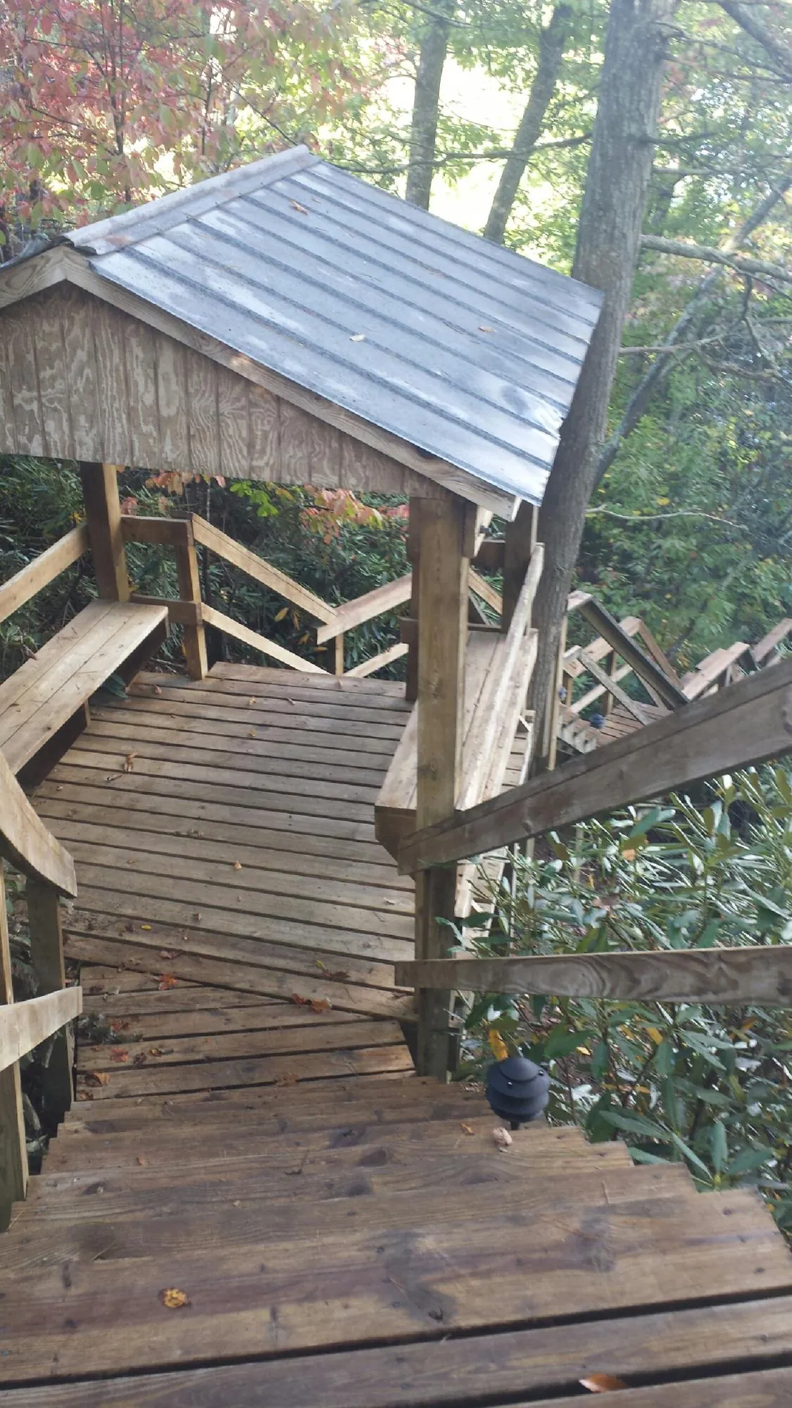 Metal roofed shelter over wooden steps on a wooded walkway — Skylight Repair & Installation work by our crew in Rialto